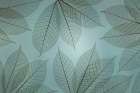 USA, Washington State, Seabeck. Pattern of skeletonized leaves. Art Print